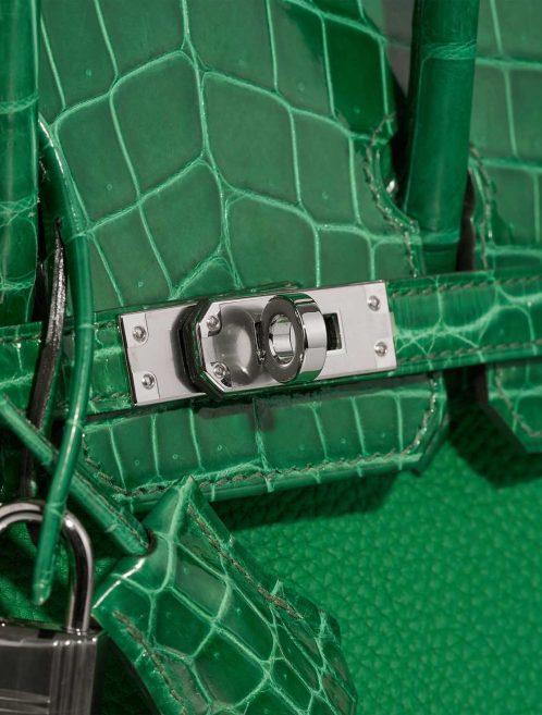 Hermès Birkin 25 Niloticus Crocodile / Togo Bambou / Vert Cactus Closing System | Sell your designer bag