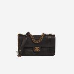 Chanel Timeless Flap Bag Medium Lizard / Lamb Brown Front | Sell your designer bag