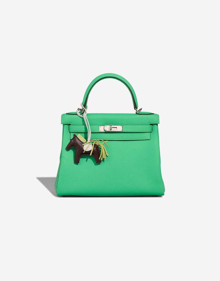 Hermès Rodeo PM Milo Lamb Rouge Sellier / Jaune Bourgeon / Bleu Brume Front | Sell your designer bag