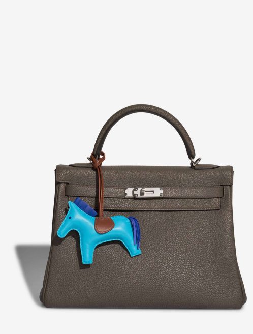 Hermès Rodeo MM Lamb Turquoise / Alezan / Anemone Closing System | Sell your designer bag