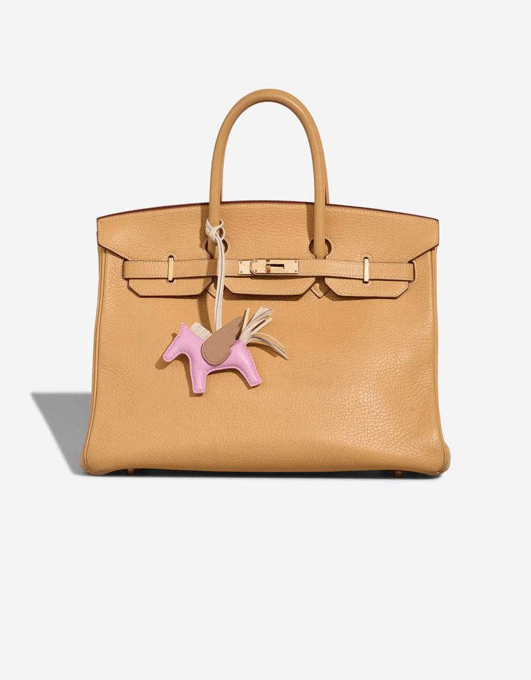 Hermès Rodeo Pegasus PM Milo Lamb Mauve Sylvestre / Craie / Chai Front | Sell your designer bag